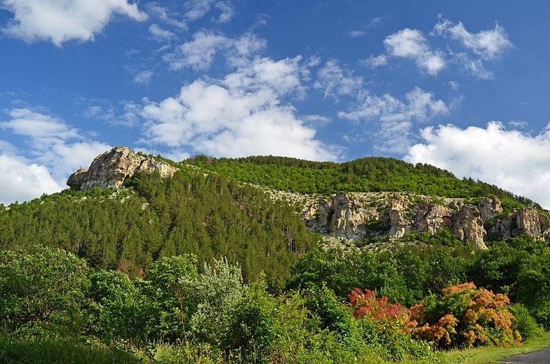 Western Rhodopes Mountains, Smolyan Province, Bulgaria - Bulgaria