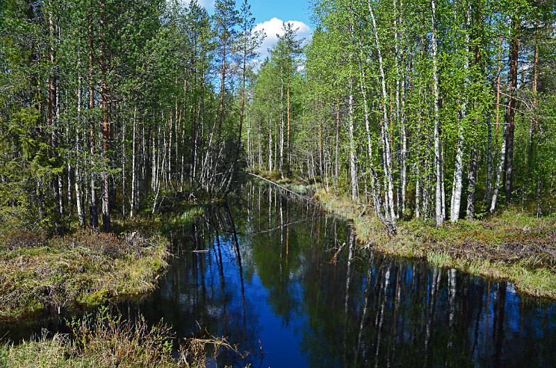 Kajaani to Kuhmo, Kainuu, Finland - North east Finland