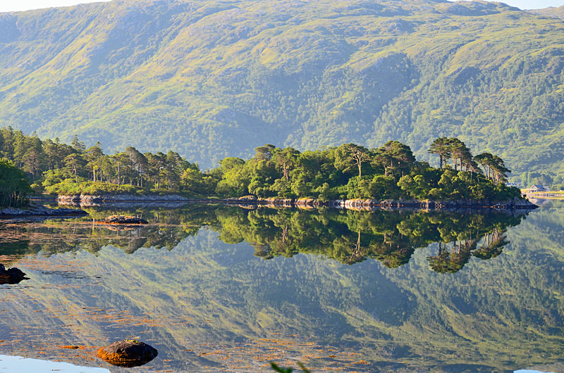 Loch Sunart, Ardnamurchan, Highland - Lakes and lochs