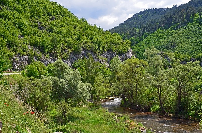 Western Rhodopes Mountains, Smolyan Province, Bulgaria - Bulgaria
