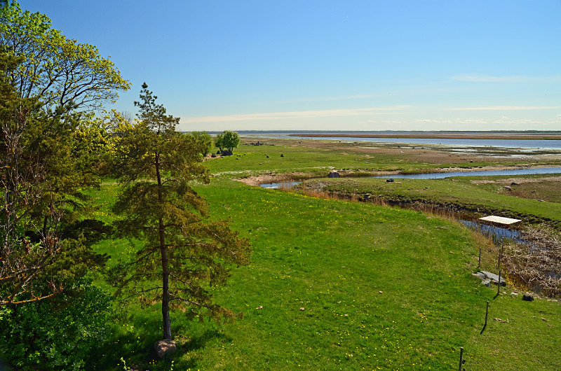 Matsalu National Park, Estonia - Estonia