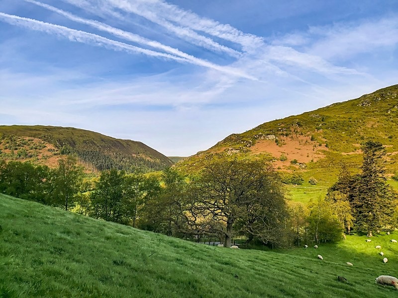 RWT Gilfach, Powys - Mountains and uplands