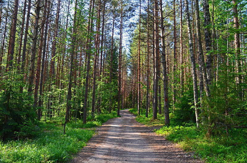 Nuuksio National Park, Uusimaa, Finland - North east Finland