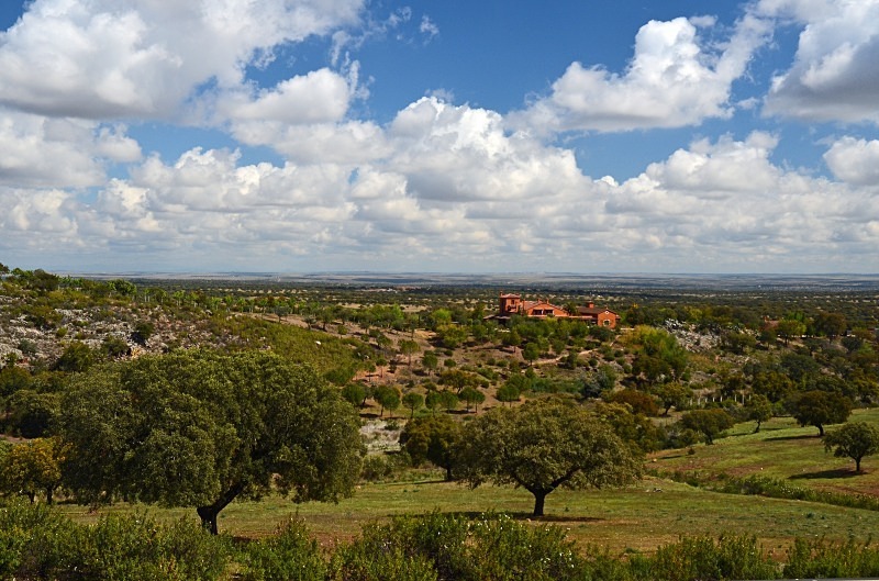 Extremadura dehesa - South and west Spain - April and May 2012