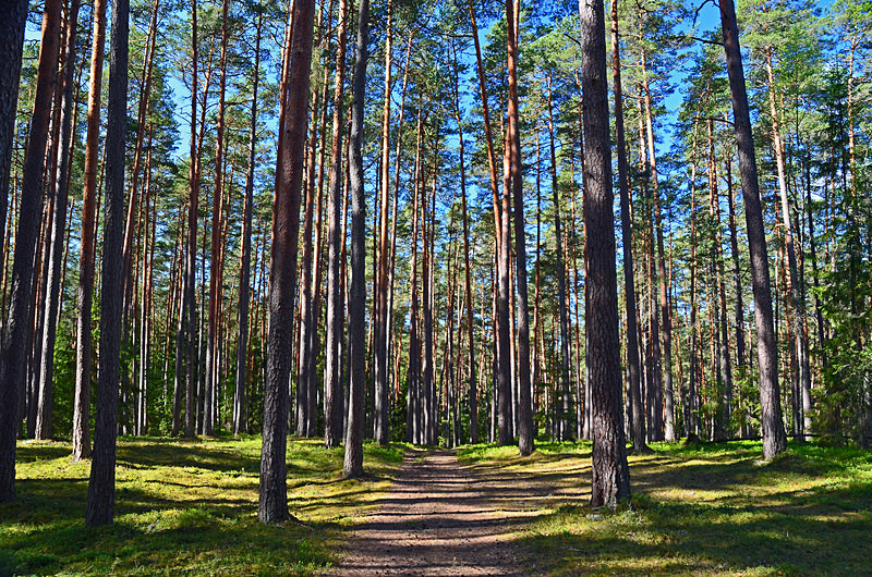 Taevaskoja, Estonia - Estonia