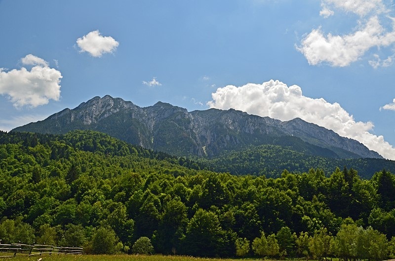Piatra Craiului Mountains, Brașov County, Romania - Romania