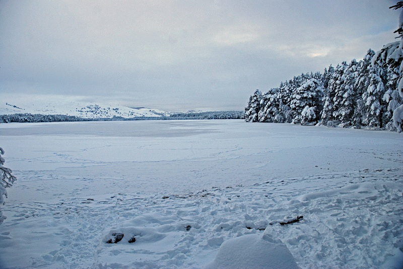 Loch Garten, Highland