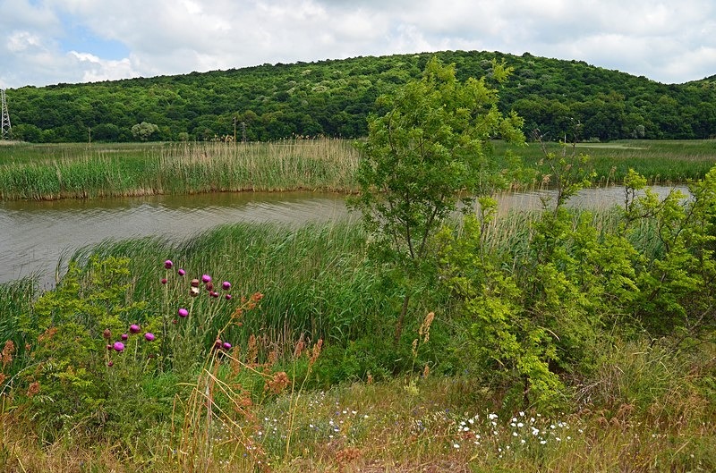 Lake Mandra, Burgas Province, Bulgaria - Bulgaria