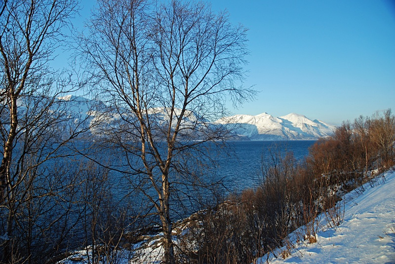  - Lyngen Alps
