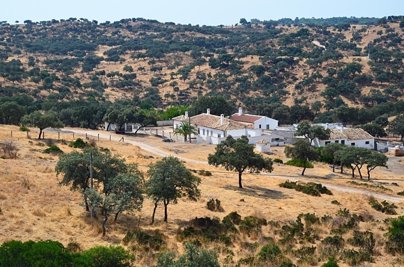 Sierra de Andújar, Andalucia, Spain - South Spain - September 2013