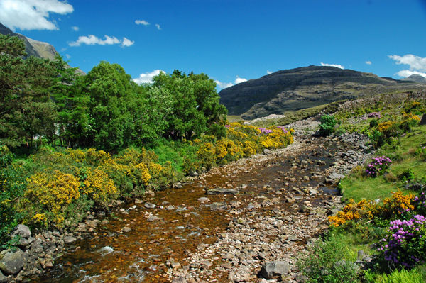 River Torridon, Wester Ross - Rivers