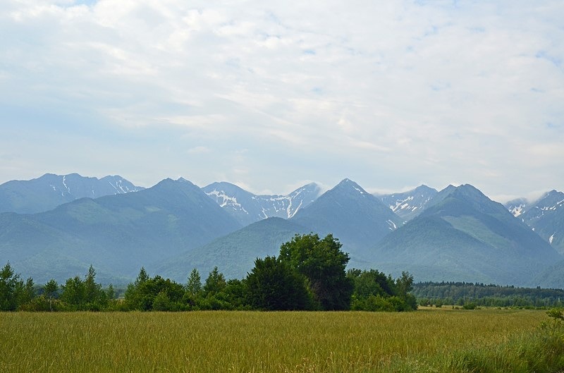 Făgăraș Mountains, Sibiu County, Romania - Romania