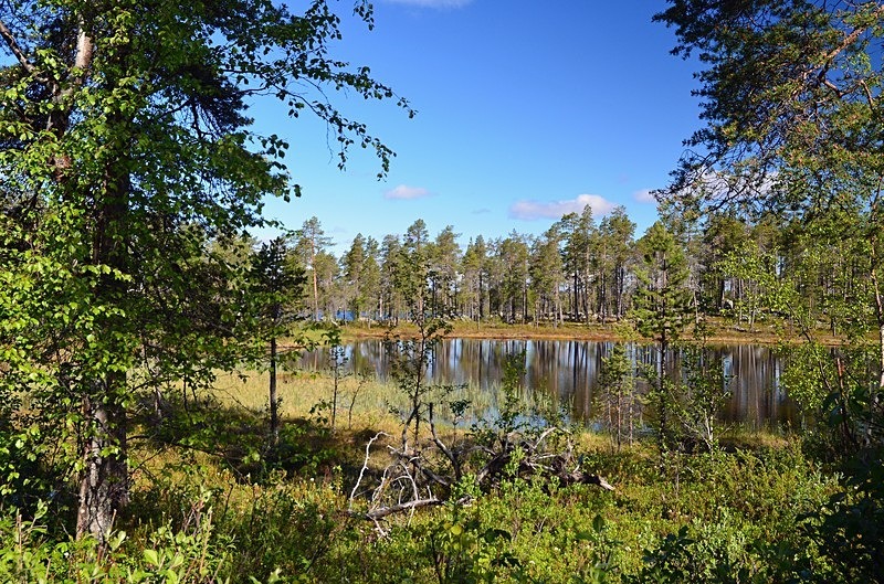 Pasvikdalen, Troms og Finnmark, Norway