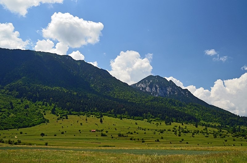 Piatra Craiului Mountains, Brașov County, Romania - Romania