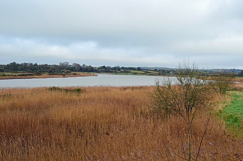 Wexford Wildfowl Nature Reserve, Co. Wexford, Ireland - Ireland - January and February 2020