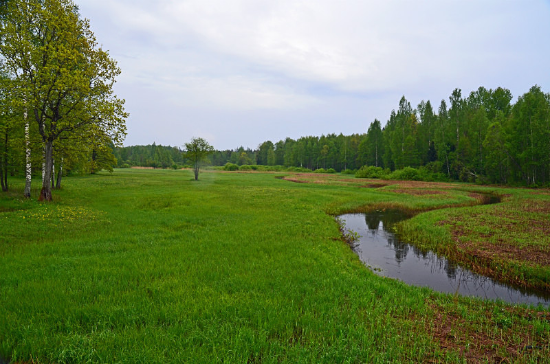 Soomaa National Park, Estonia