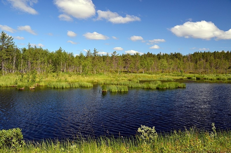 Unknown lake, Pohjois-Pohjanmaa, Finland - North Finland - part 2