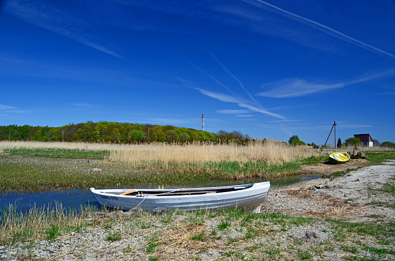 Kübassaare peninsula, Saaremaa island, Estonia - Estonia
