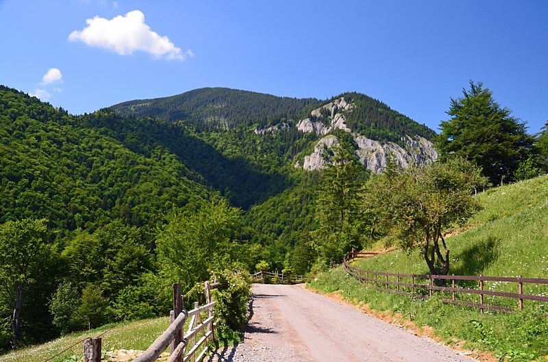 Piatra Craiului Mountains, Brașov County, Romania - Romania