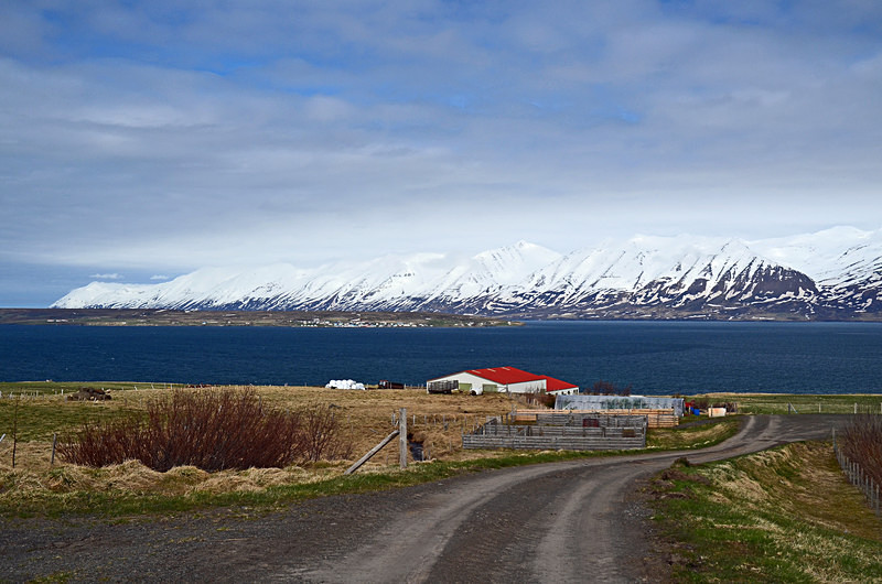 Eyjafjörður, north east Iceland