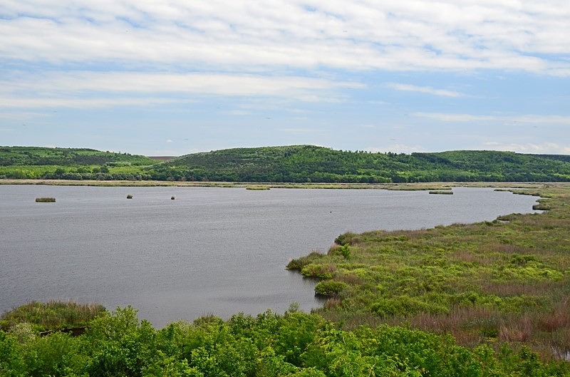 Lake Srebarna, Silistra Province, Bulgaria - Bulgaria