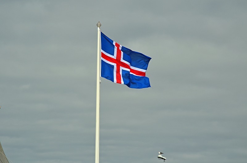 Iceland flag .... and a very small Great Black-backed Gull! - Snæfellsnes peninsula