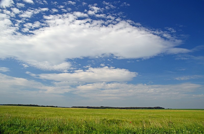'Little Hortobágy', Borsod-Abaúj-Zemplén county, Hungary - Hungary