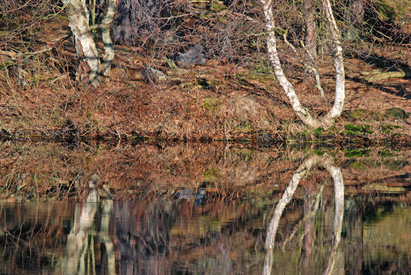 Loch Milton, Highland - Lakes and lochs