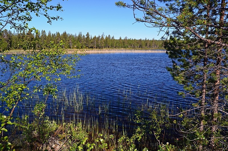 Pasvikdalen, Troms og Finnmark, Norway - North Norway