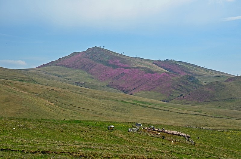 Bucegi Mountains, Prahova County, Romania - Romania