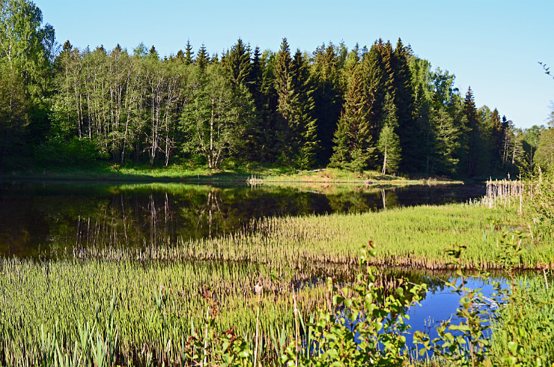 Lahemaa National Park, Estonia