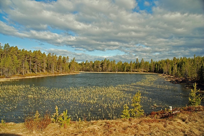 Toivoniemi area, Lappi, Finland - North Finland and north Norway - May and June 2009