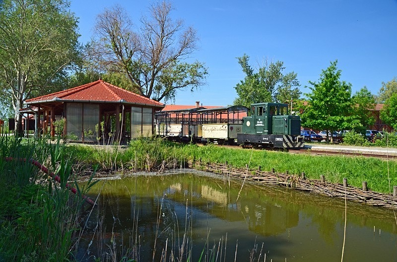 Hortobágy National Park, Hajdú-Bihar county, Hungary - Hungary
