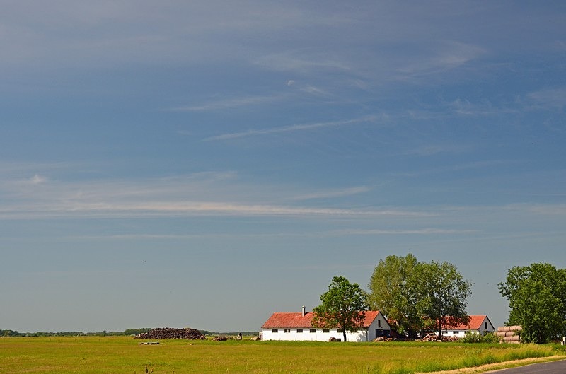 Hortobágy National Park, Hajdú-Bihar county, Hungary - Hungary