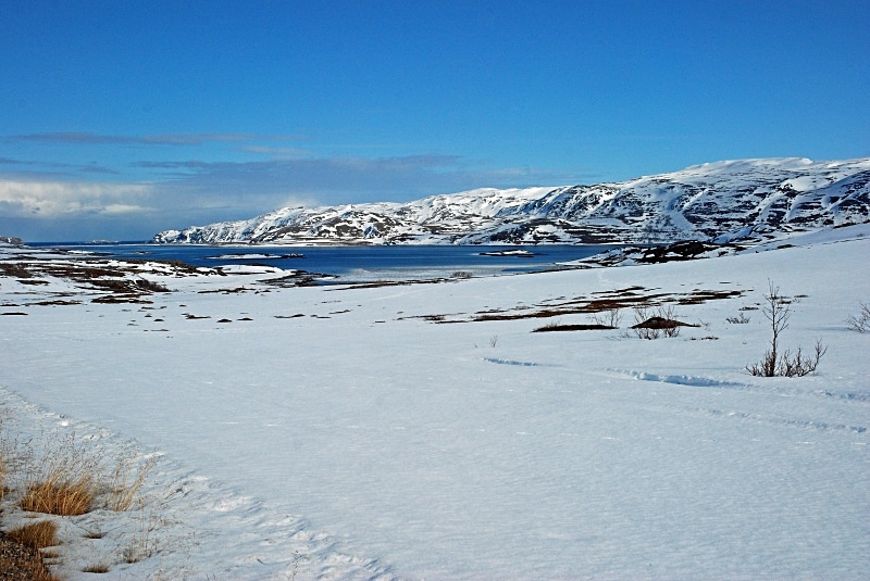 Kongsfjord area, Varanger peninsula, Finnmark, Norway - Norway