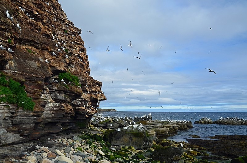 Flåget, Ekkerøy, Varanger peninsula, Troms og Finnmark, Norway - North Norway