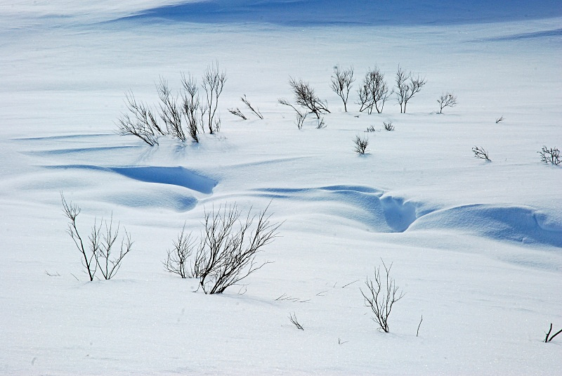Kongsfjordfjellet, Varanger peninsula, Finnmark, Norway - Norway