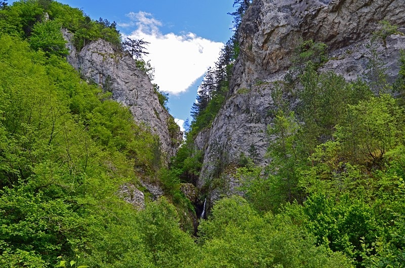 Western Rhodopes Mountains, Smolyan Province, Bulgaria - Bulgaria