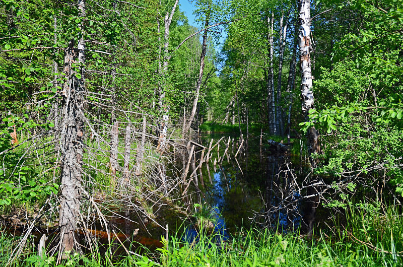 Nuuksio National Park, Uusimaa, Finland - North east Finland