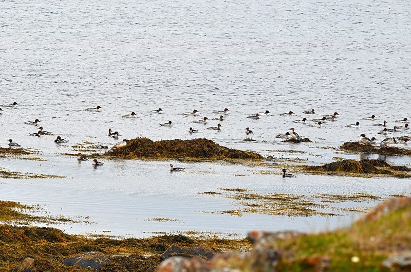 Varanger peninsula, Troms og Finnmark, Norway - North Norway