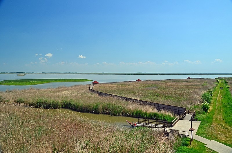 Hortobágy National Park, Hajdú-Bihar county, Hungary - Hungary