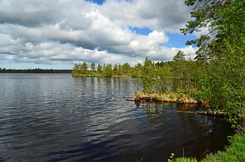 Nigula Nature Reserve, Estonia