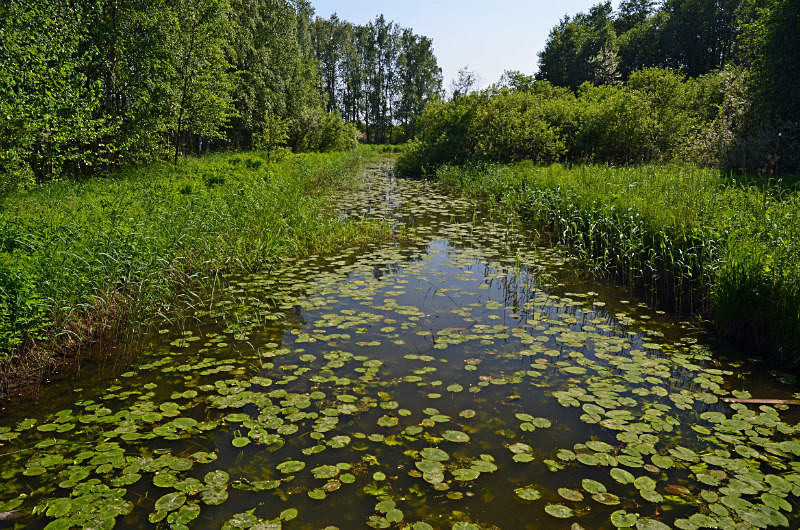 Viikki-Vanhankaupunginlahti Nature Reserve, Helsinki, Finland - North east Finland
