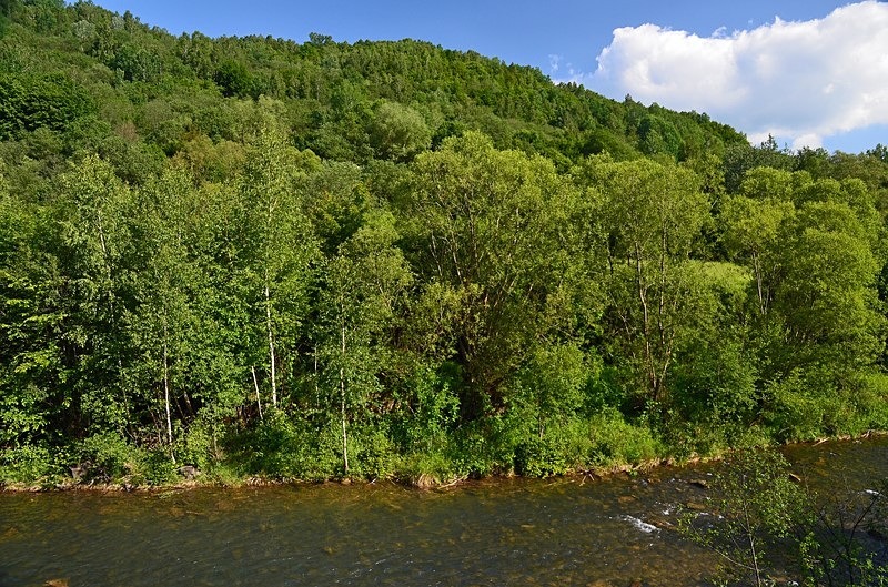 Bukovské Mountains, Prešov region, Slovakia - Slovakia