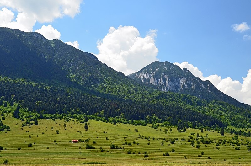 Piatra Craiului Mountains, Brașov County, Romania - Romania