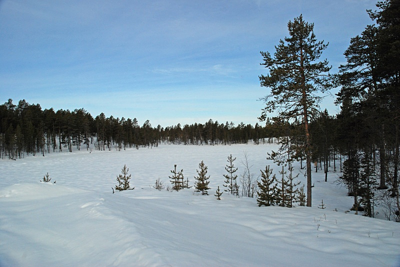 Toivoniemi area, Lappi, Finland - Finland