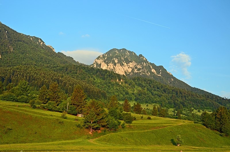 Piatra Craiului Mountains, Brașov County, Romania - Romania