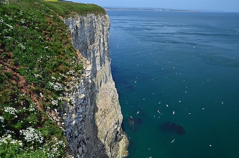 Bempton Cliffs, East Yorkshire - Sea and sand