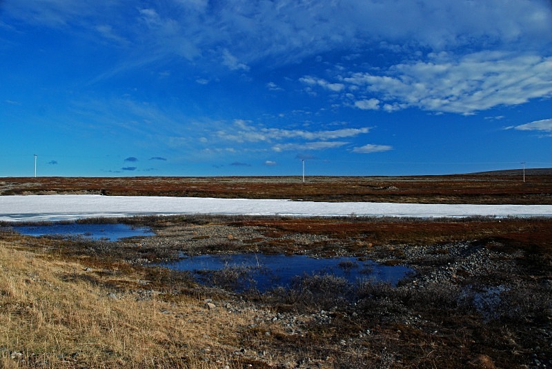 Salttjern to Ekkerøy, Varanger peninsula, Norway - North Finland and north Norway - May and June 2009