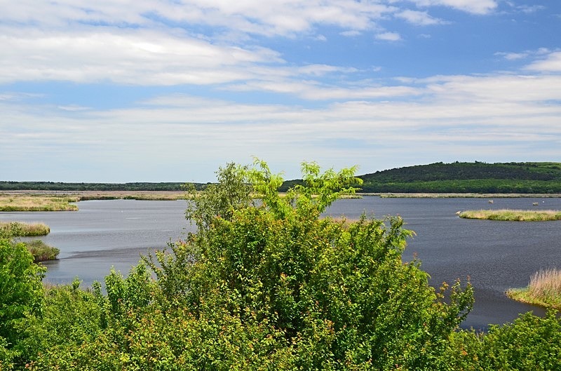 Lake Srebarna, Silistra Province, Bulgaria - Bulgaria
